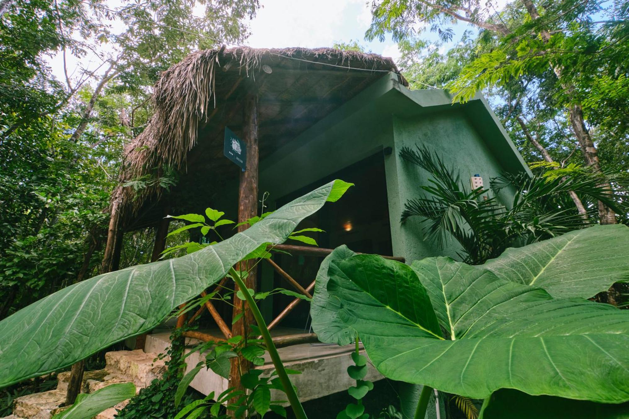 Villas Zamna - Jungle Villas 코수멜 외부 사진
