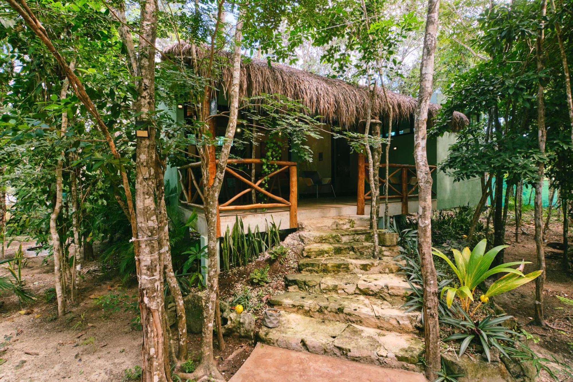 Villas Zamna - Jungle Villas 코수멜 외부 사진
