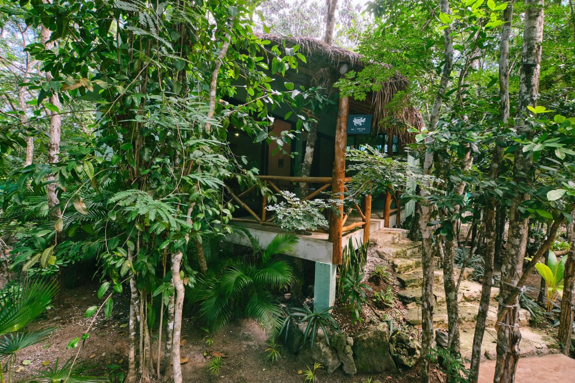 Villas Zamna - Jungle Villas 코수멜 외부 사진