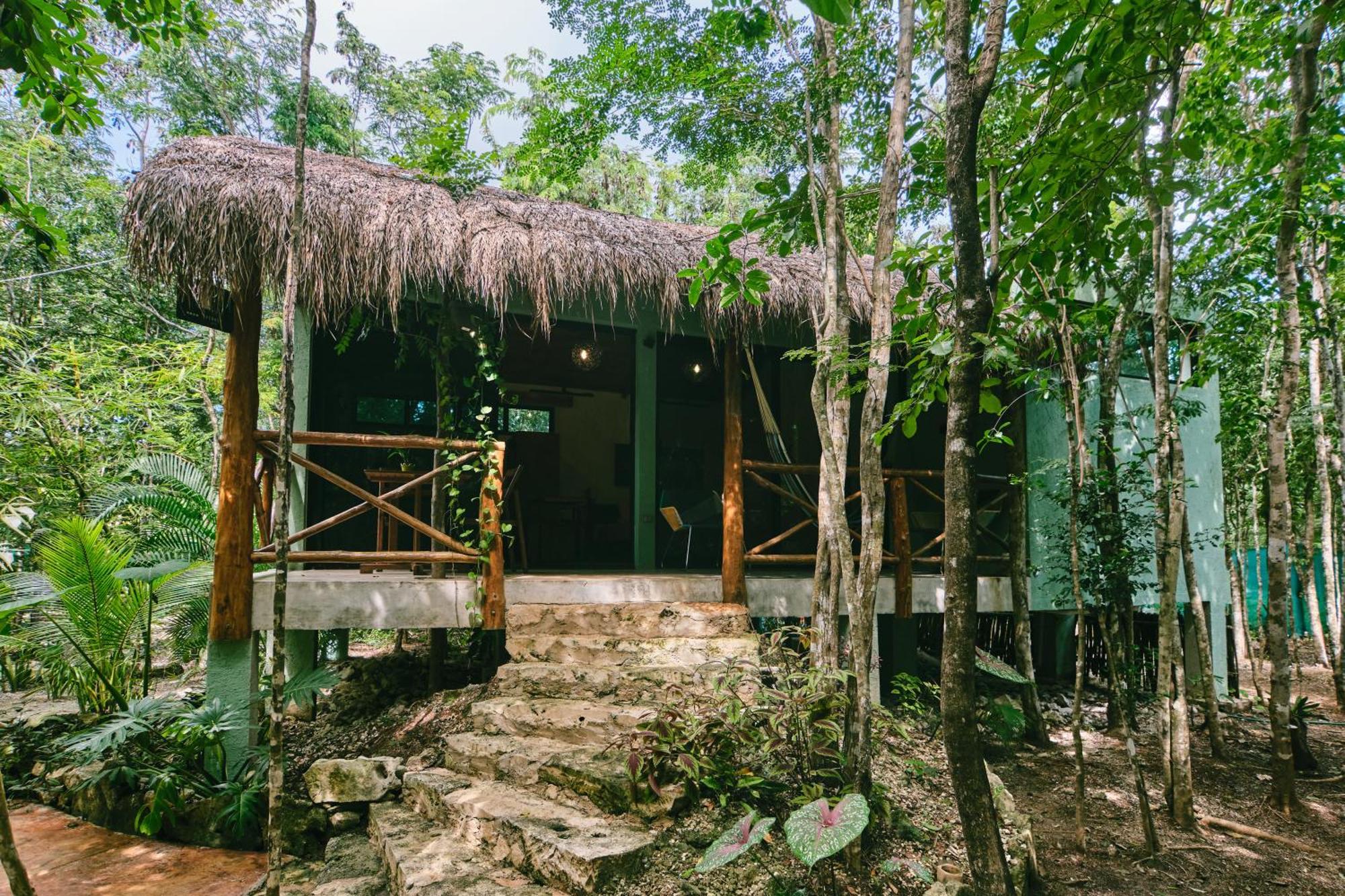 Villas Zamna - Jungle Villas 코수멜 외부 사진