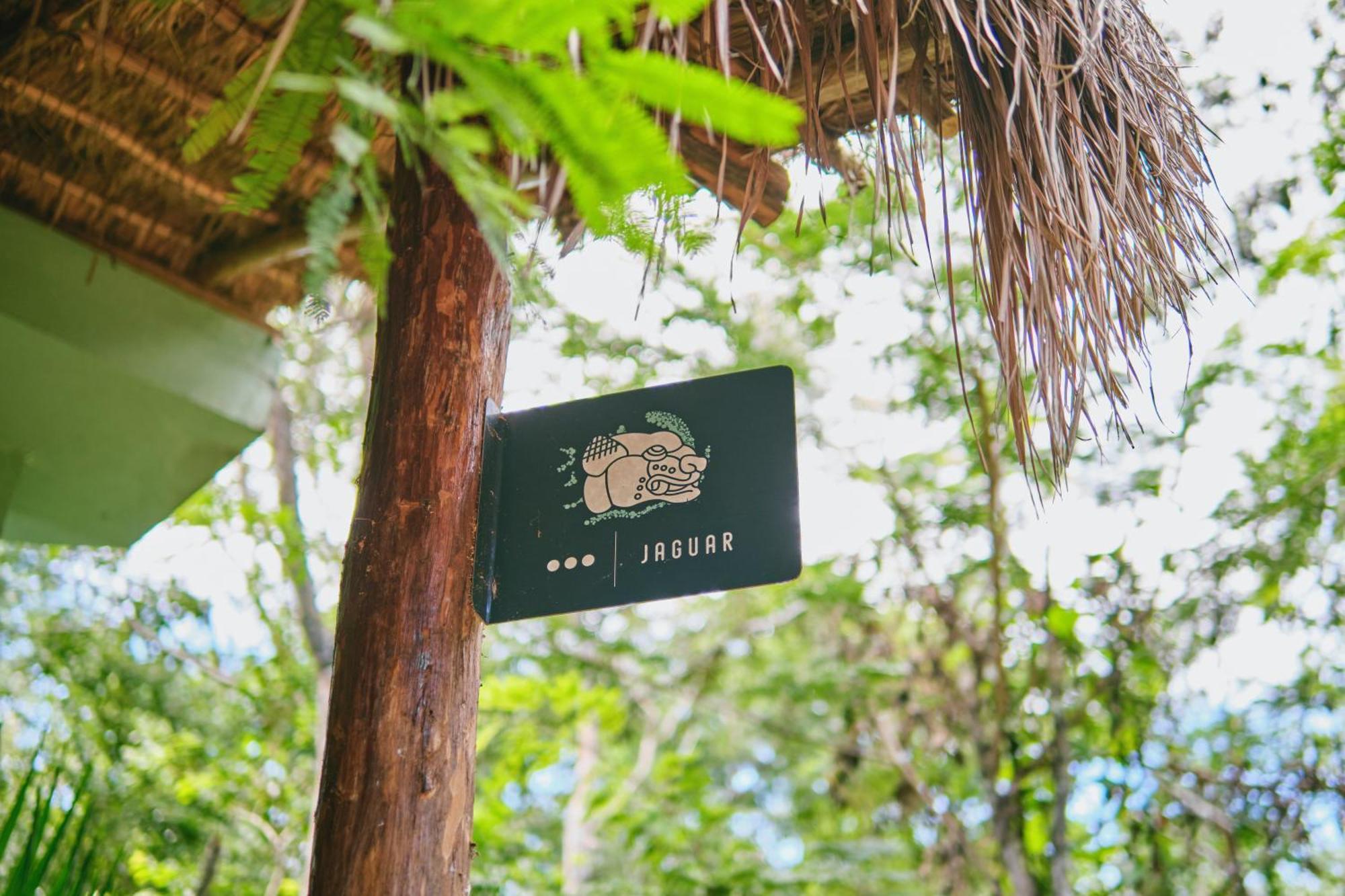 Villas Zamna - Jungle Villas 코수멜 외부 사진